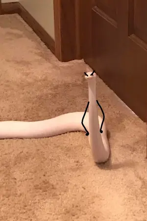 ปกนิยาย [Fic My hero academia]  SERPENT (OC)