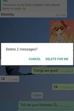 ปกนิยาย who am i