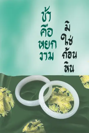 ปกนิยาย