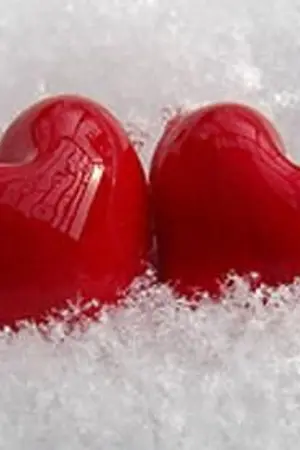 ปกนิยาย นั่นเอง