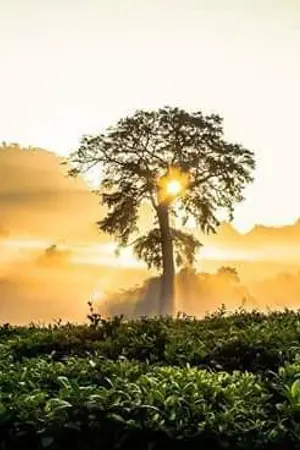 ปกนิยาย สวรรค์​ลิขิต​ดาบ​มังกร​คู่​"ภาค1 ความทรงจำที่ถูกลบเลือน"