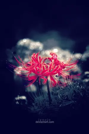 ปกนิยาย [Fic Boku no hero academia/MHA/BNHA] ลิขิตฟ้าดอกไม้สีเลือด [YAOI/BL/OC] *ปกชั่วคราว*