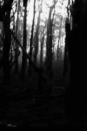 ปกนิยาย นภาดล