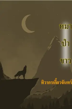 ปกนิยาย