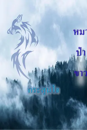 ปกนิยาย ฟ้าของกัน