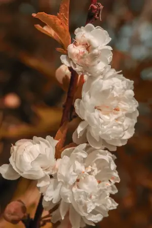 ปกนิยาย จักรวาลนิรันดร์