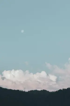 ปกนิยาย กลีบดอกไม้ดอกนั้นที่ล่วงหล่นบนดวงจันทร์