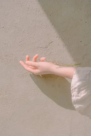 ปกนิยาย ฝันในรอยจูบ