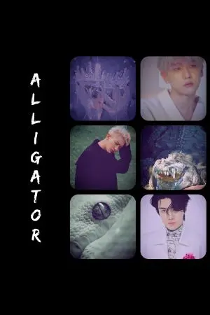 ปกนิยาย ALLIGATOR(chanbaek)