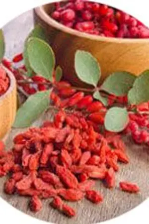 ปกนิยาย CBDfx review