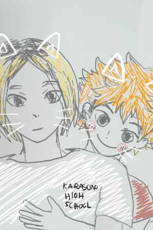 ปกนิยาย Haikyuu! Kenhina : วิธีดูแลแมวส้มต่างโรงเรียน