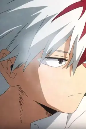 ปกนิยาย Fic My Hero Academia [Todoroki Shoto x Oc] BlackLight