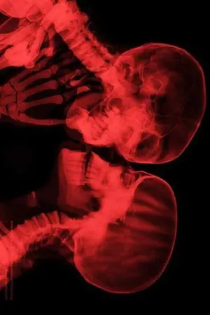 ปกนิยาย Exotier (chanbaek)