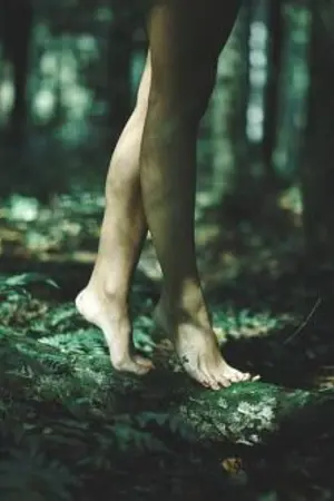 ปกนิยาย หมู่บ้านชายป่า