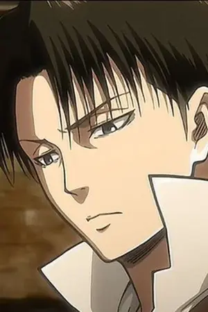 ปกนิยาย attack on titan [Levi x reader] ผ่าพิภพไททัน