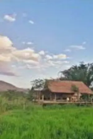 ปกนิยาย อาหารข้า ราคาถูก