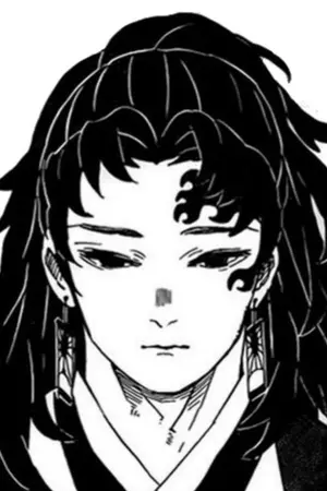 ปกนิยาย [One-piece]ปีกซ้ายของโรเจอร์โยรุอิจิ.