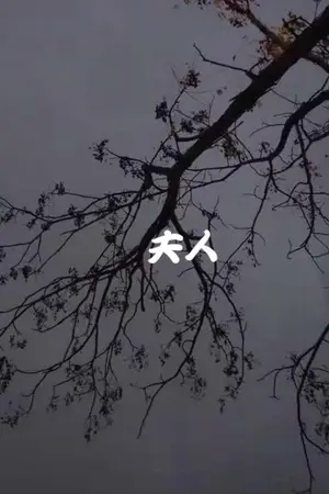 ปกนิยาย ฮูหยินน้อย