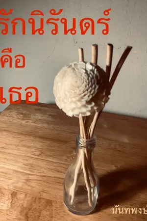 ปกนิยาย รักนิรันคร์ คือ เธอ