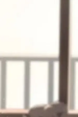 ปกนิยาย หาเพื่อนที่จากไป