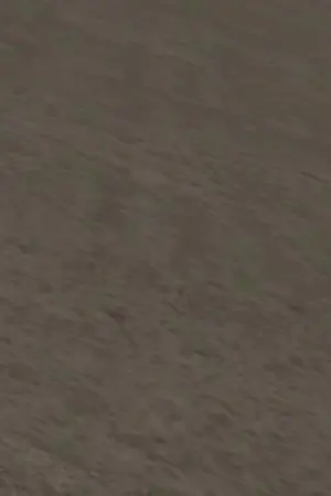 ปกนิยาย สาวซึน แฟน นายแสนซื่อ