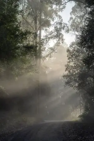 ปกนิยาย Survivor ในเกมปลูกผัก(ที่ไม่ใช่เกมปลูกผัก)