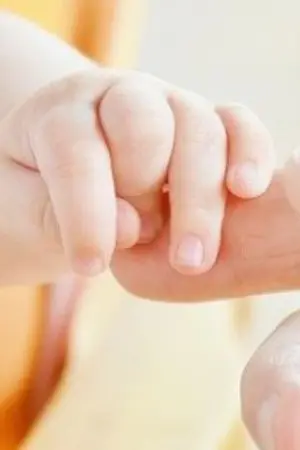 ปกนิยาย เจ้าจง