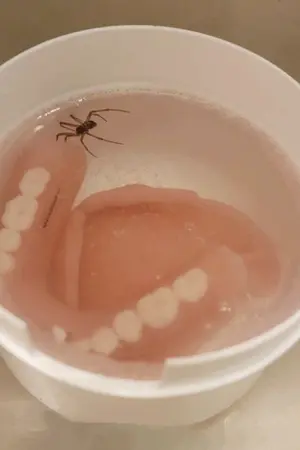 ปกนิยาย รูปภาพของคนที่ต้องการการกอดอย่างยิ่ง