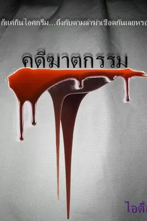 ปกนิยาย