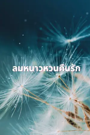 ปกนิยาย ลมหนาวหวนคืนรัก