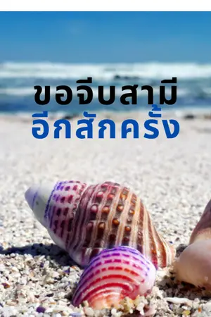 ปกนิยาย ขอจีบสามีอีกสักครั้ง