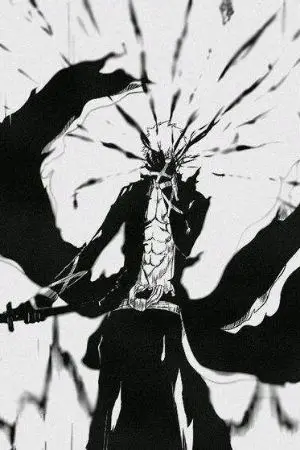 ปกนิยาย [Bleach x Fate] นามของข้าคือคุโรซากิ อิจิโกะ