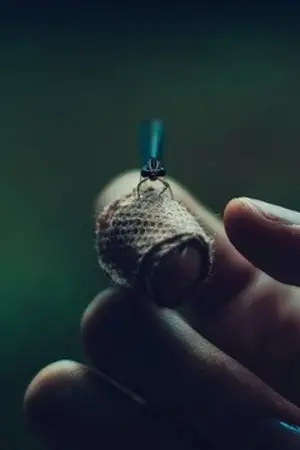 ปกนิยาย Moriaty The Patriot :แสงสว่างยามค่ำคืน