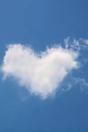 ปกนิยาย ตลอด1ปีที่ฉันมีเธอ