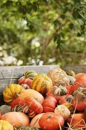 ปกนิยาย ร่างไว้ก่อน