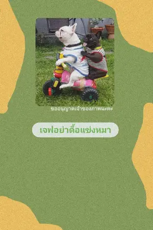 ปกนิยาย เจฟอย่าดื้อแข่งกับหมา