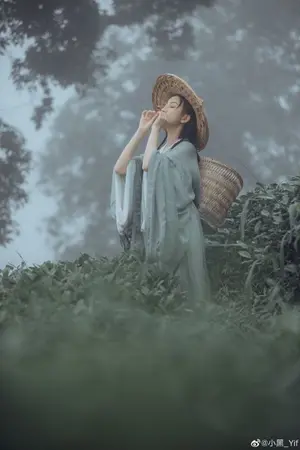 ปกนิยาย เป็นฮูหยินท่านดีไม่น้อย