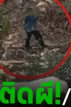 ปกนิยาย หลอน ติดผี