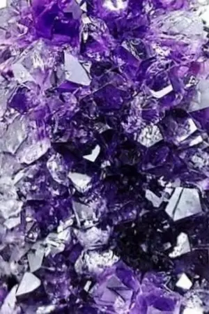 ปกนิยาย ศาลาอเมทิสต์