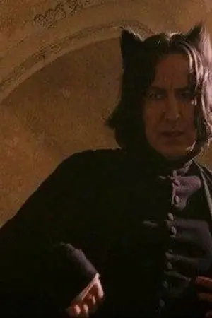 ปกนิยาย [Fic] ; ปรุงยาพลาดเป็นเหตุสังเกตุได้ | OcxSs | Snape