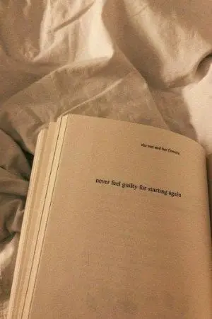 ปกนิยาย Cabin fever (Levi x Mikasa)