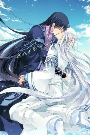 ปกนิยาย โม่ลี่หยาง