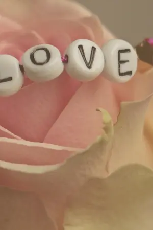 ปกนิยาย รักร้าง