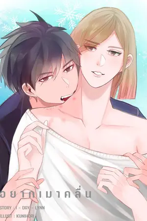 ปกนิยาย (จบ) อยากเมาคลื่น (มี E-Book)