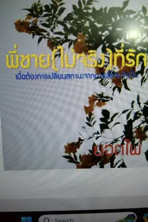 ปกนิยาย พี่ชาย(ไม่จริง)ที่รัก