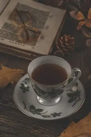 ปกนิยาย [Harry Potter] ทะลุมิติมาเป็นแม่มด