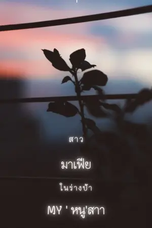 ปกนิยาย