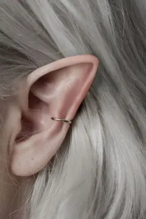 ปกนิยาย Am I an elf? ผมเป็นเอลฟ์ในโลกแห่งเทพนิยายเหรอ?