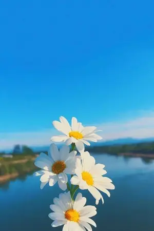 ปกนิยาย น้องพี่ที่รัก.