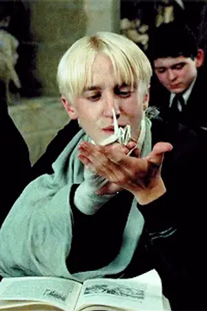 ปกนิยาย [Fanfic Harry Potter] Nobody's son (Draco MalfoyxOC)